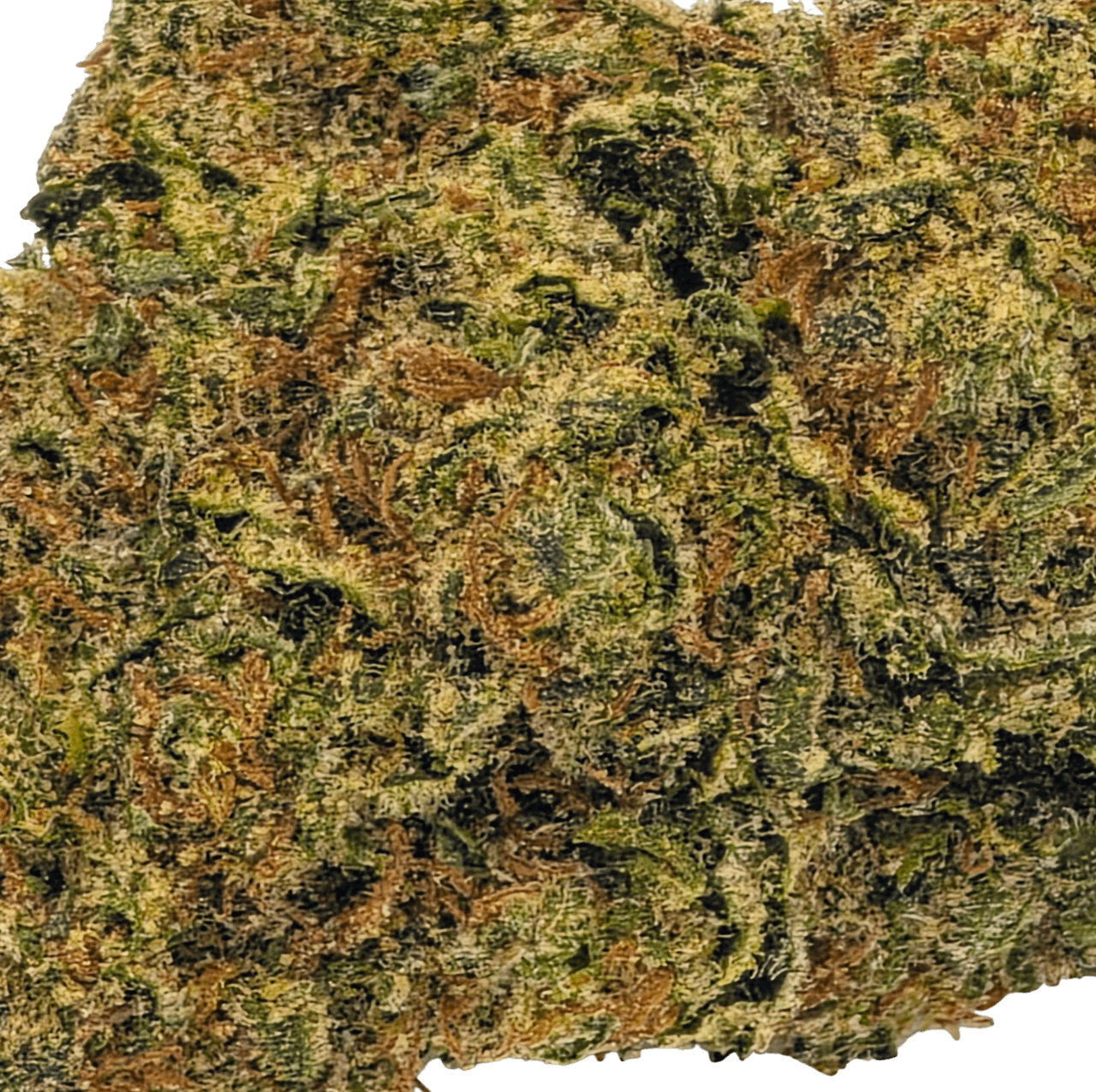 Cereal Milk (Limited Small Batch Exclusive)