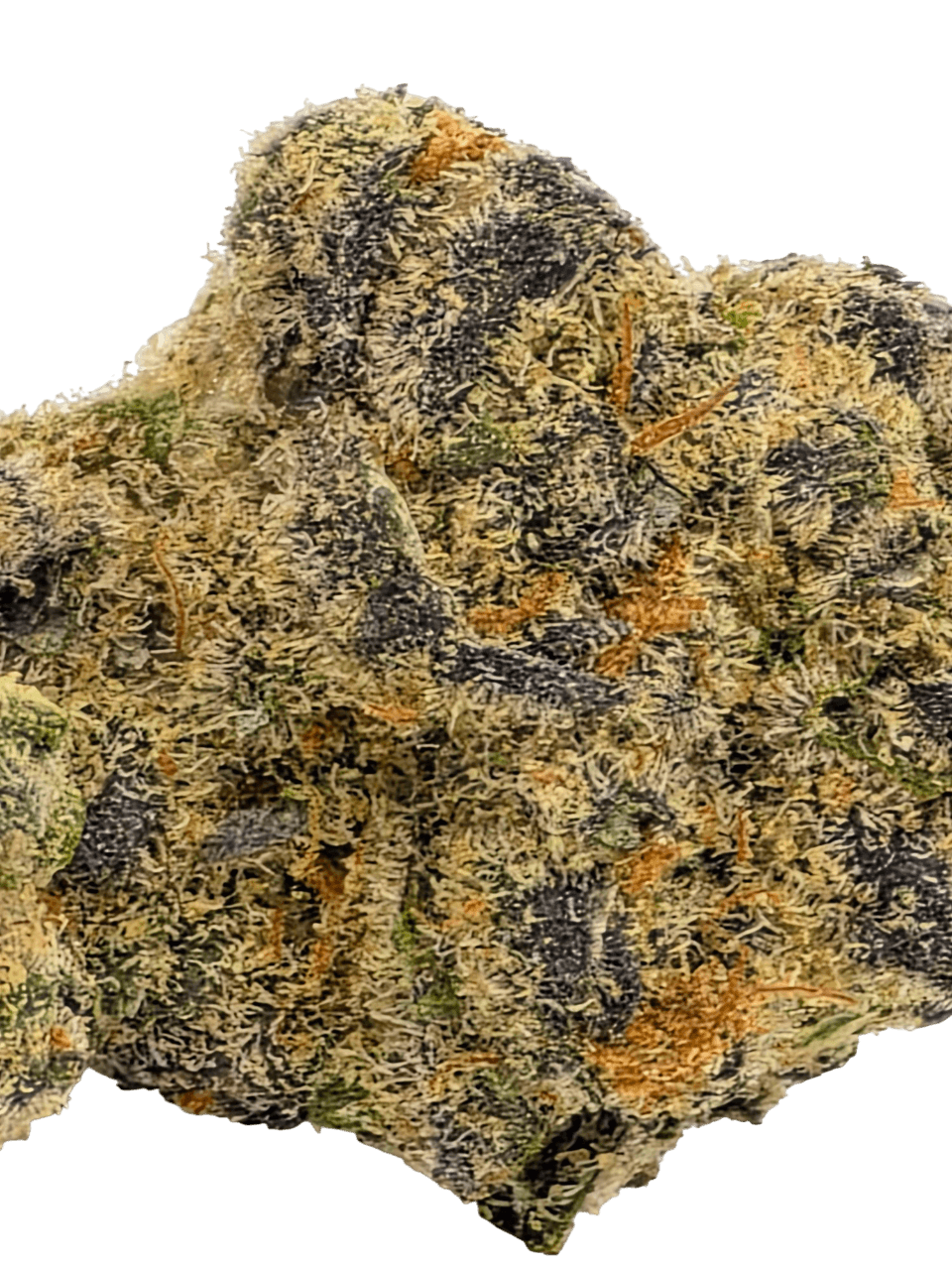 Hindu Kush (Limited Small Batch Exclusive)