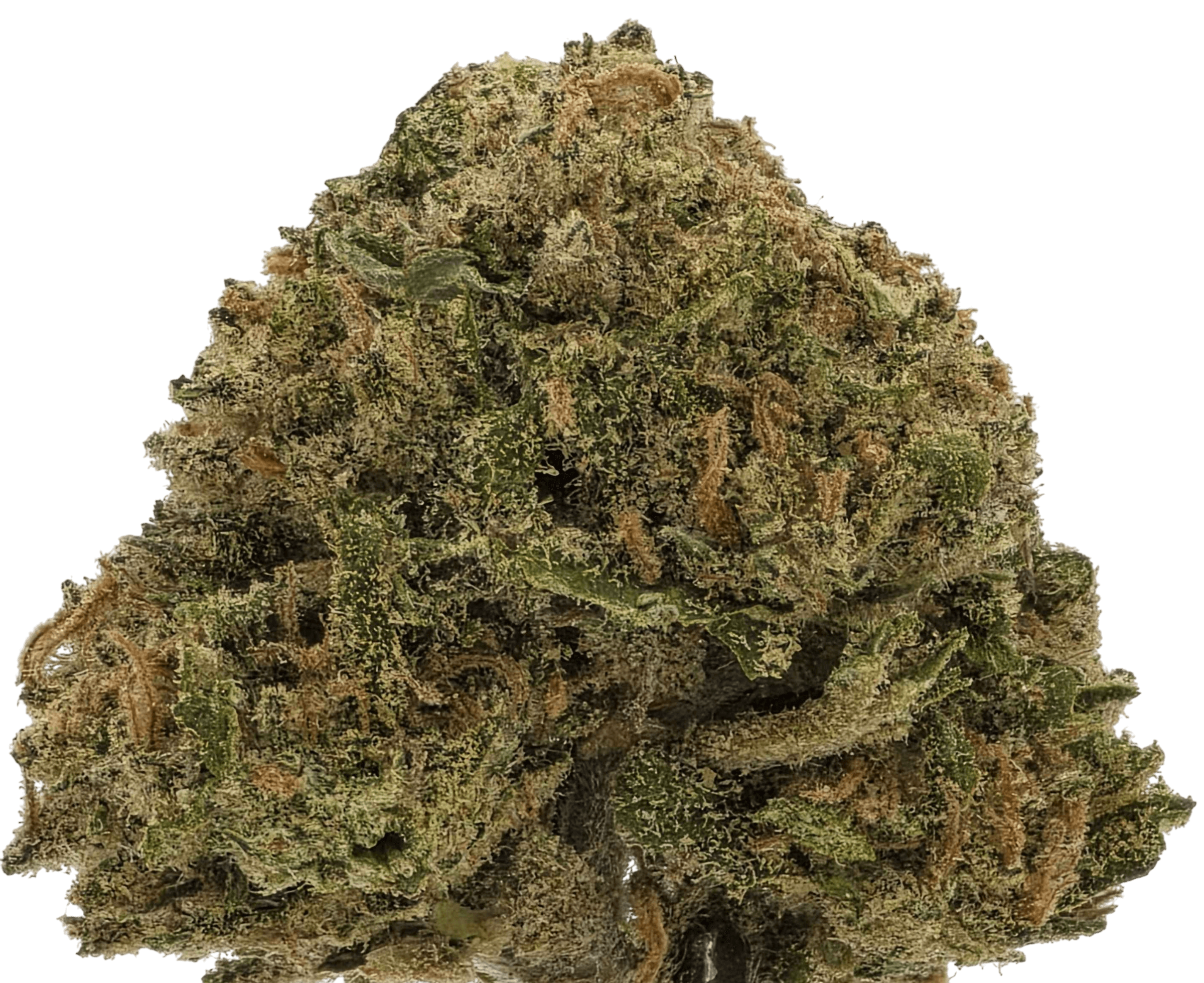 Green Crack (Living Soil)